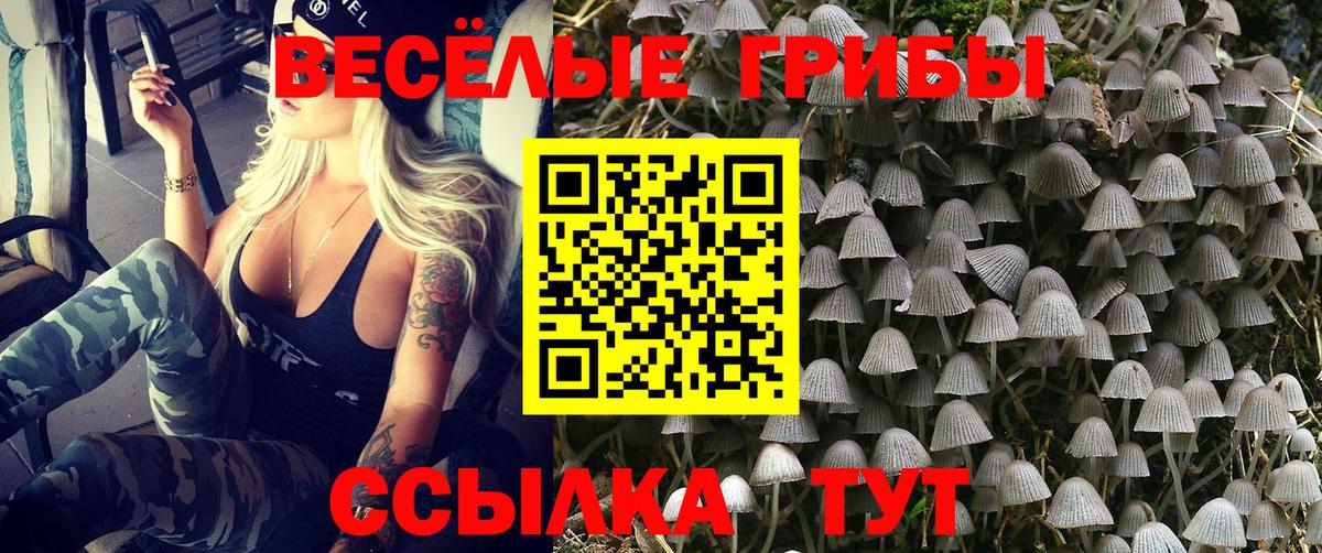 Видное  Псилоцибиновые грибы прущие грибы  Вход с VPN  Псилоцибиновые грибы мухоморы 