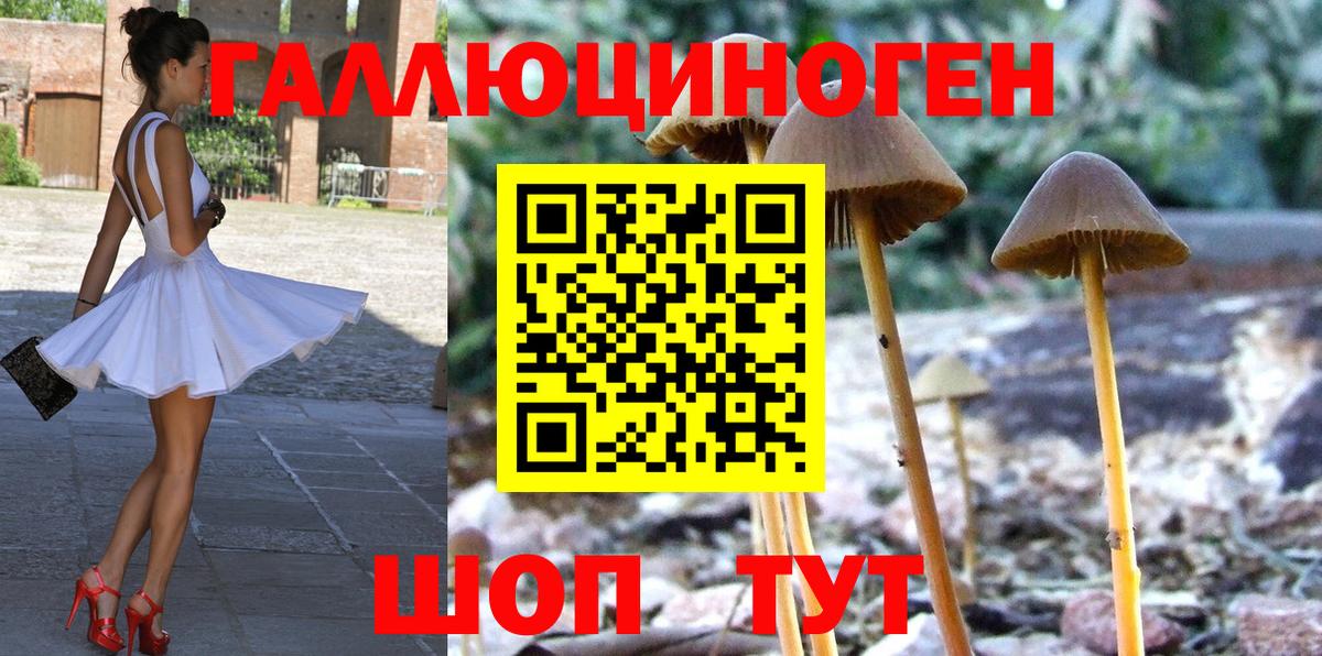 Галлюциногенные грибы Magic Shrooms  Псилоцибиновые грибы ЛСД  Видное 